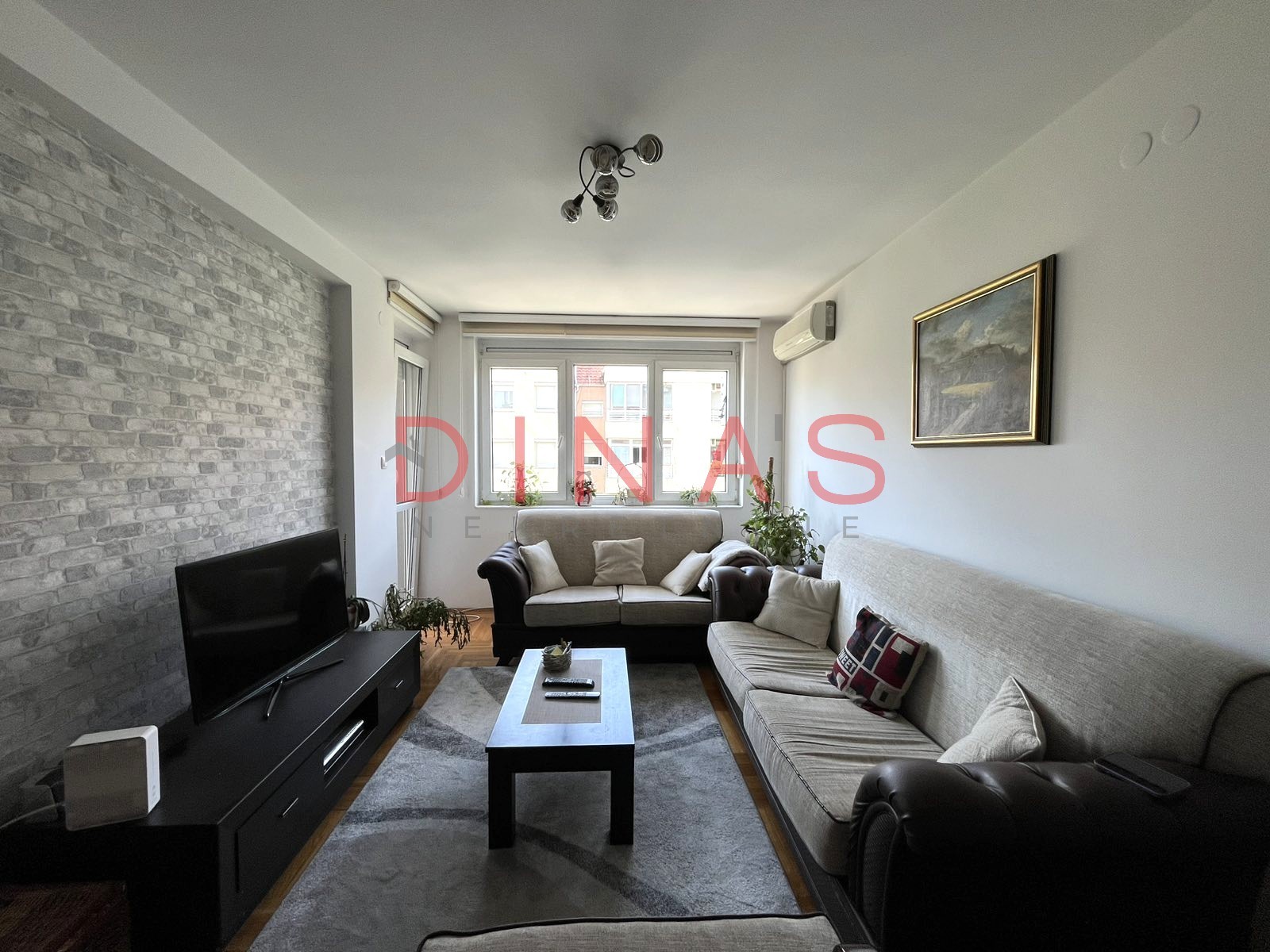 DETELINARA NOVA, NOVI SAD, 1017036