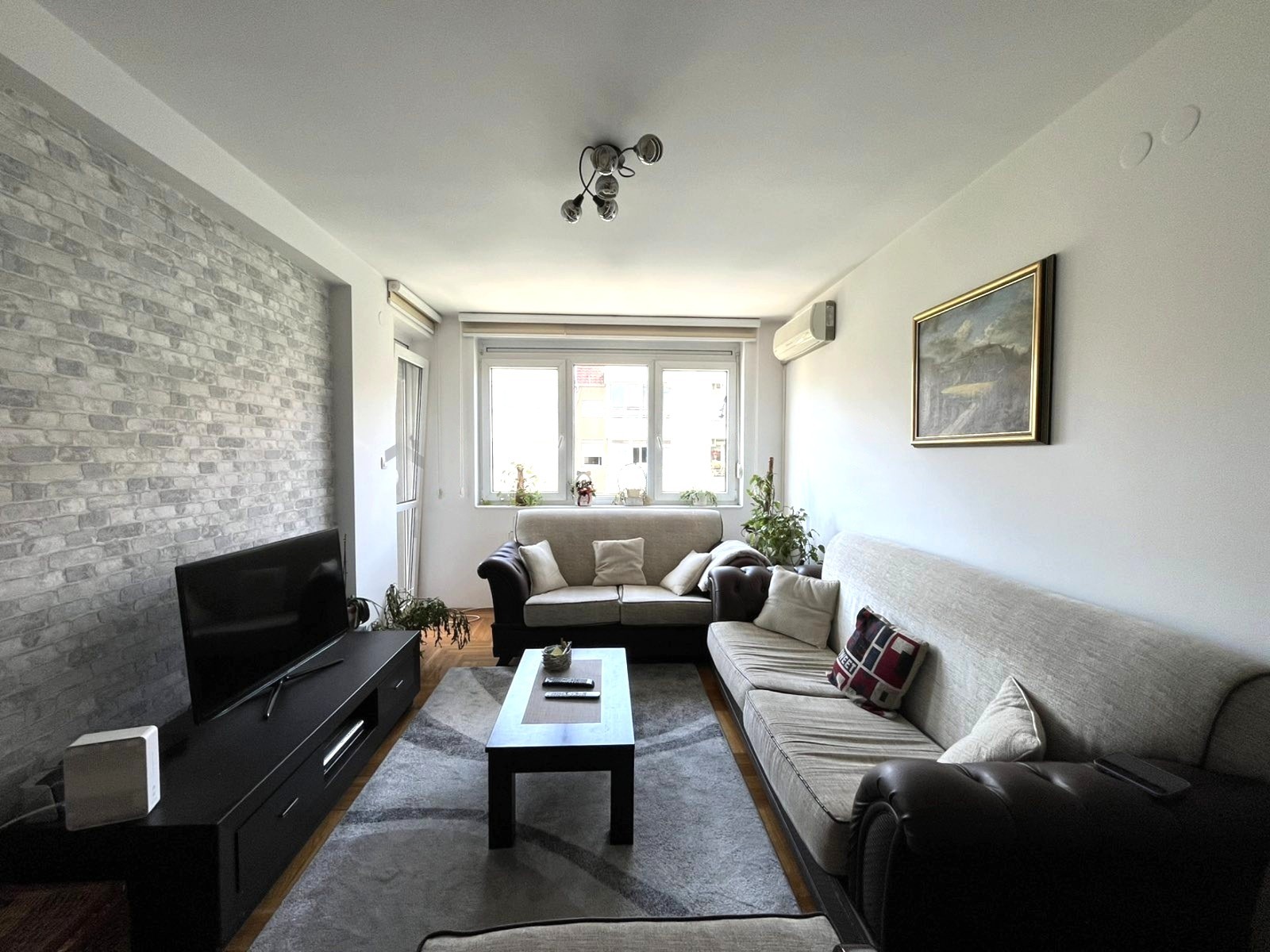 DETELINARA NOVA, NOVI SAD, 1017036