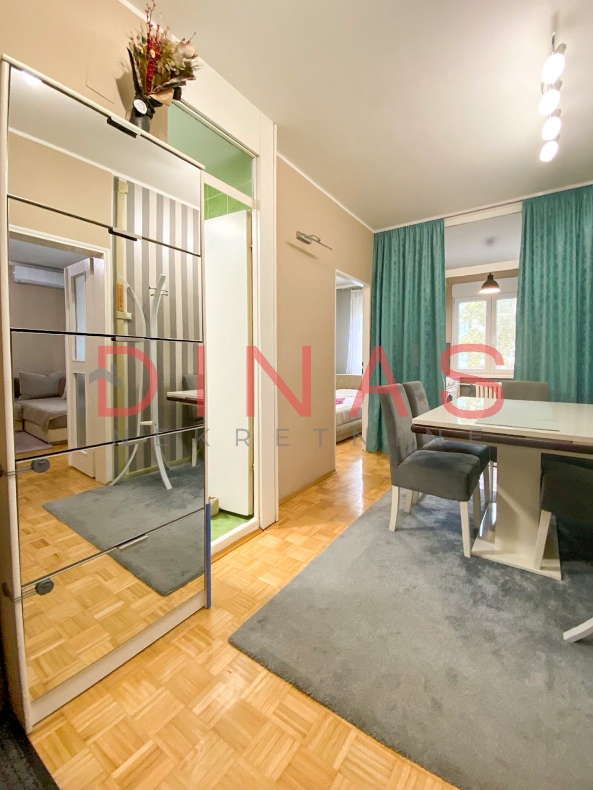 DETELINARA STARA, NOVI SAD, 9117166